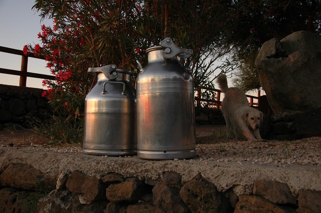 Agriturismo Codula Fuili Vila Cala Gonone Exterior foto